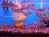 -Super-Beautiful-Arowana-Fishes-And-Many-Others-For-Sale-At-Good-Prices